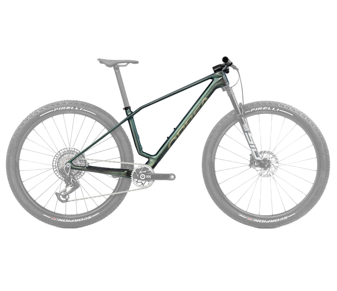 Orbea Alma Carbon Frame Seaweed Carbon View Matte-Gloss Medium Orbea The Bicycle Station