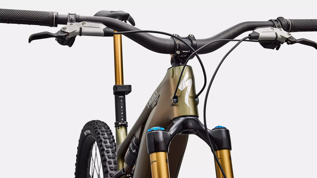 Specialized S-Works Turbo Levo 4 Gloss Laurel Green / Burnt Gold / Chrome S4 The Bicycle Station The Bicycle Station