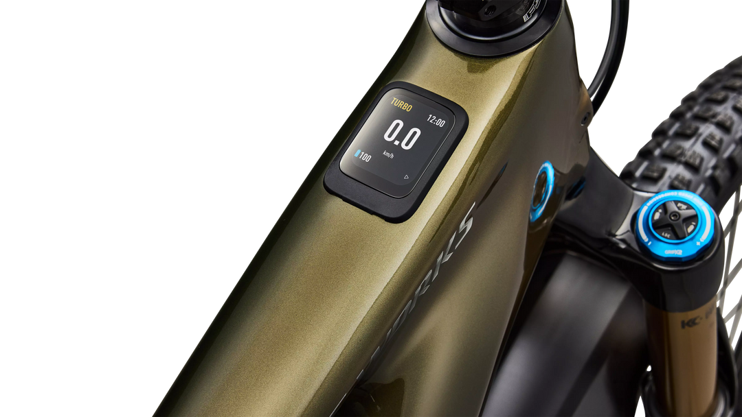 Specialized S-Works Turbo Levo 4 Gloss Laurel Green / Burnt Gold / Chrome S4 Specialized The Bicycle Station