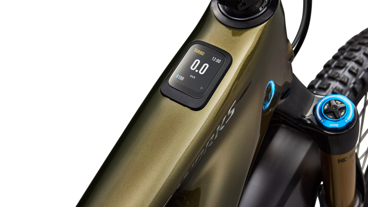 Specialized S-Works Turbo Levo 4 Gloss Laurel Green / Burnt Gold / Chrome S4 Specialized The Bicycle Station