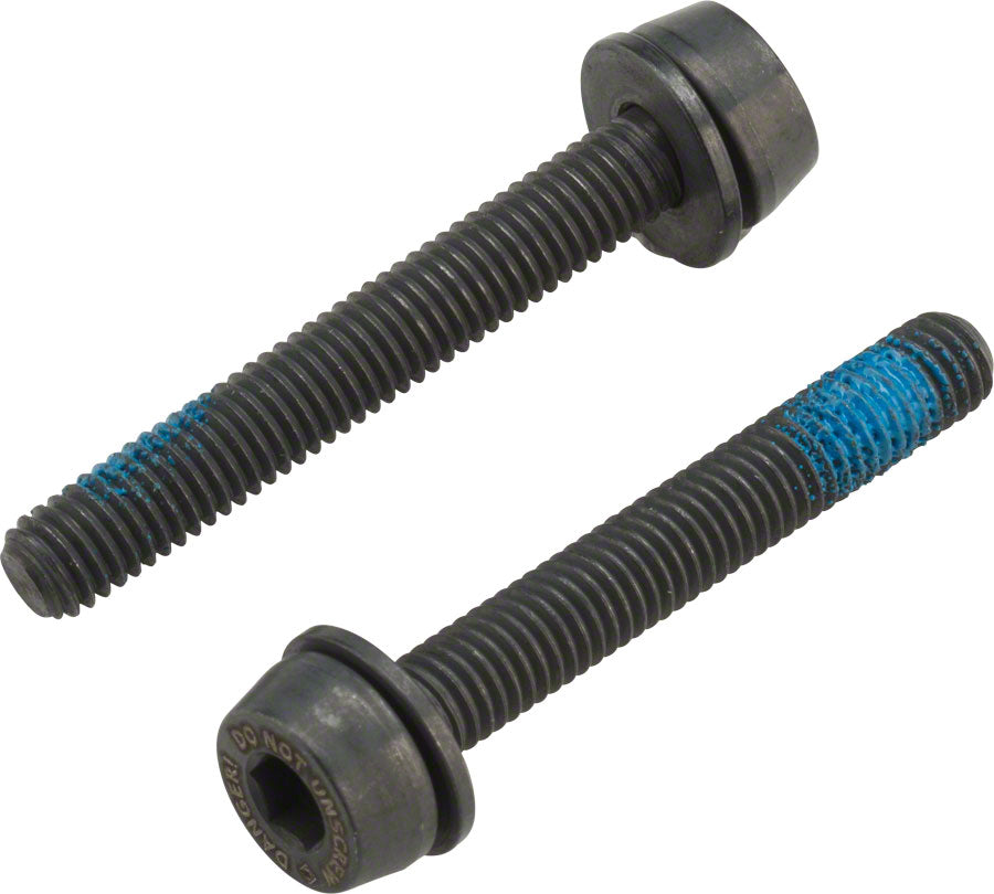 Campagnolo H11 Disc Caliper Mounting Screws, 2x34mm, for 25-29mm Rear Mount Thickness Campagnolo The Bicycle Station