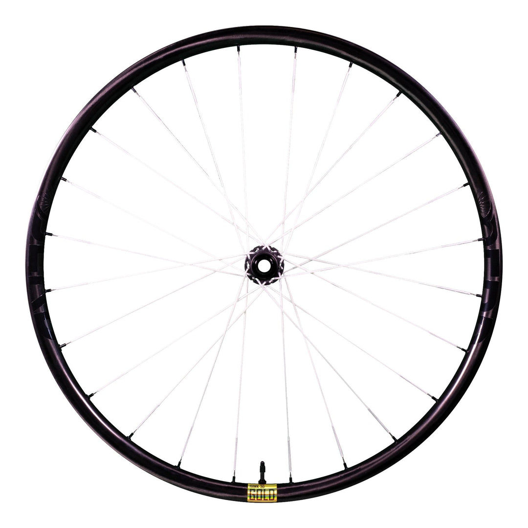 Berd Hawk30 Gold Carbon Wheels Berd The Bicycle Station