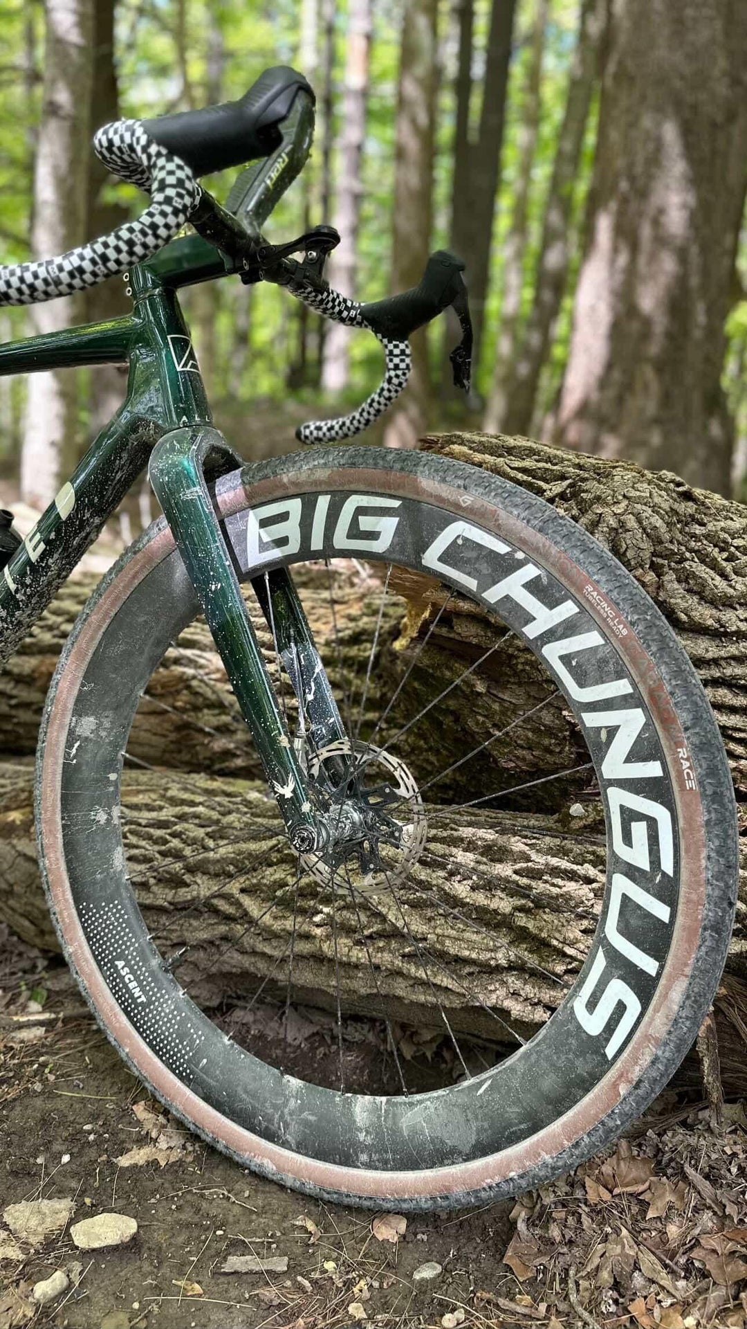 Ascent Big Chungus Wheels XDR Ascent Bikes The Bicycle Station