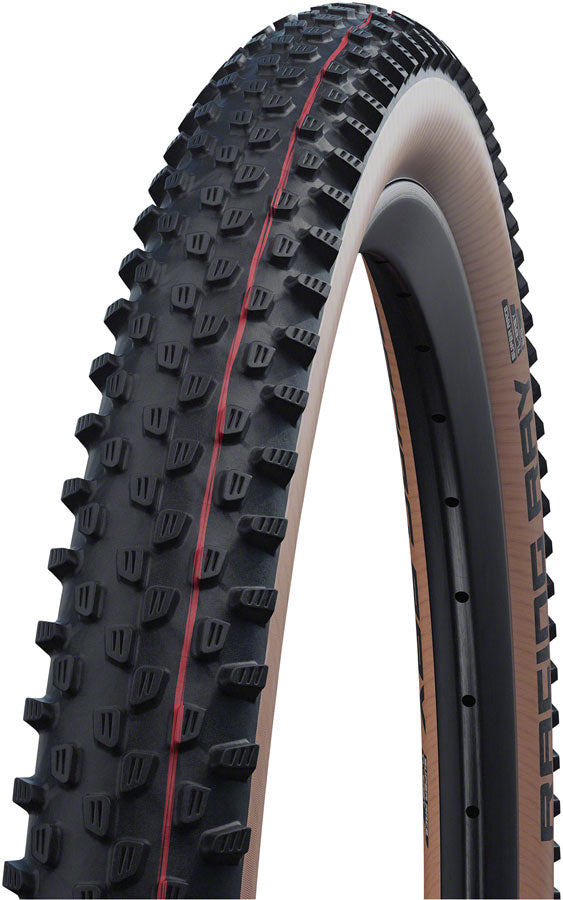 Schwalbe Racing Ray Tire 29 x 2.35Black/Transparent Schwalbe The Bicycle Station