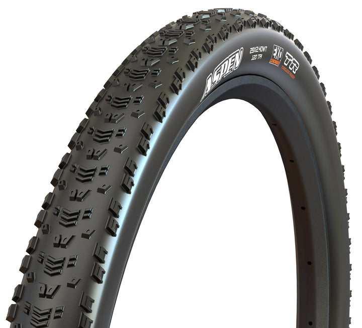 Maxxis Aspen Team Edition 170 TPI MaxxSpeed/EXO/TR 29 x 2.4